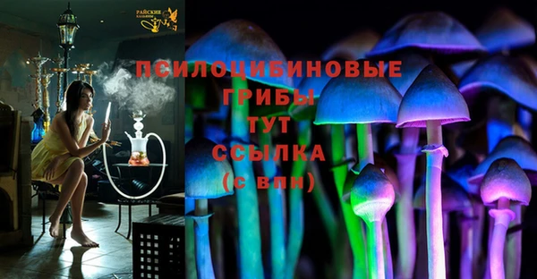 ECSTASY Балахна