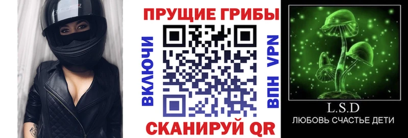 Псилоцибиновые грибы Cubensis  гидра ссылка  Североуральск 